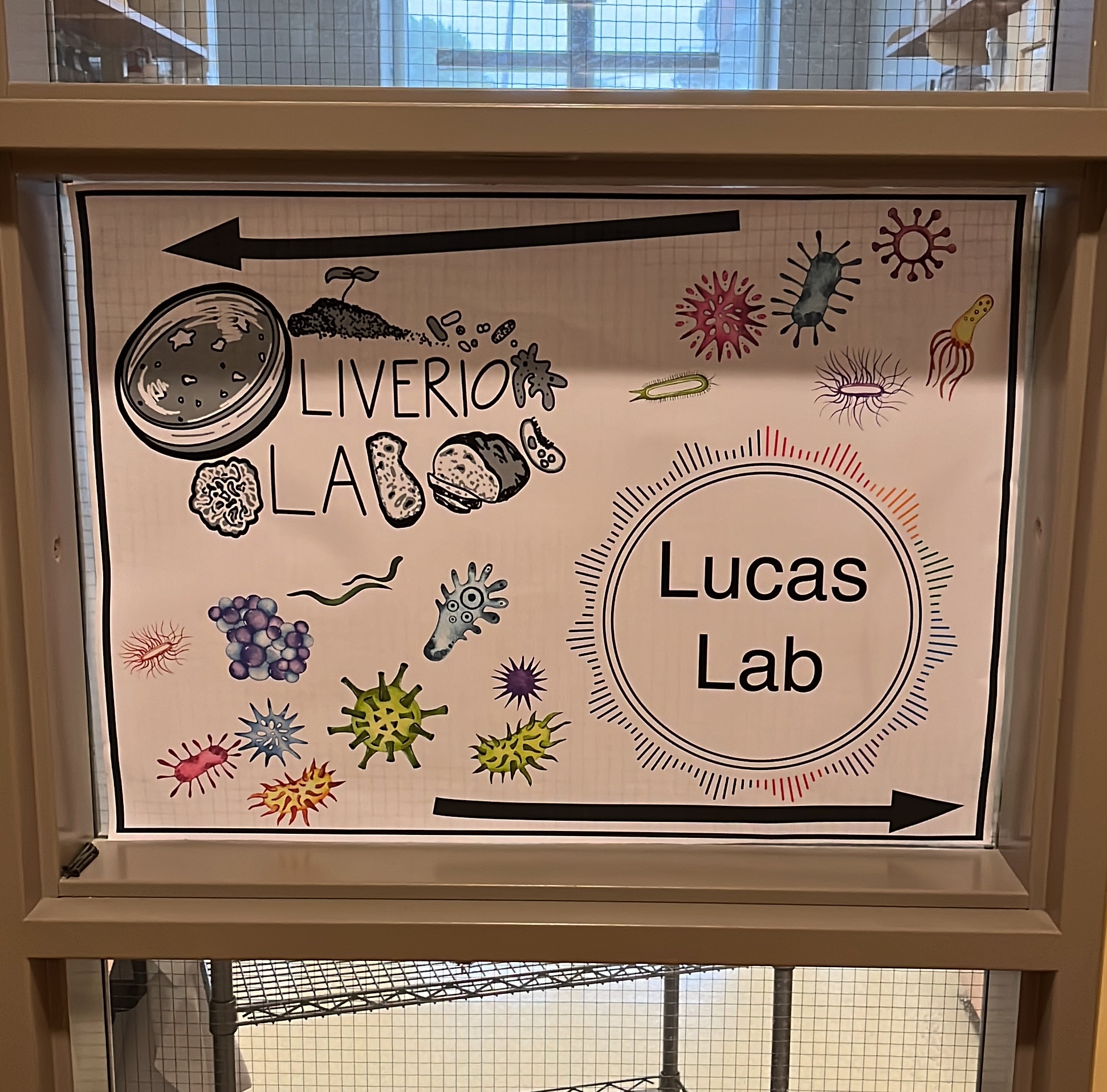 Lab moment